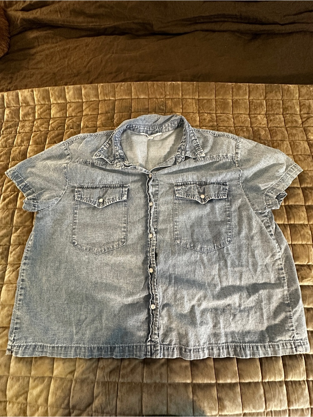 Jane and Delancey Light Blue Short-Sleeve Denim Button-Down Shirt